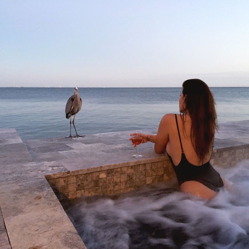 Meet your Posher, Sammi